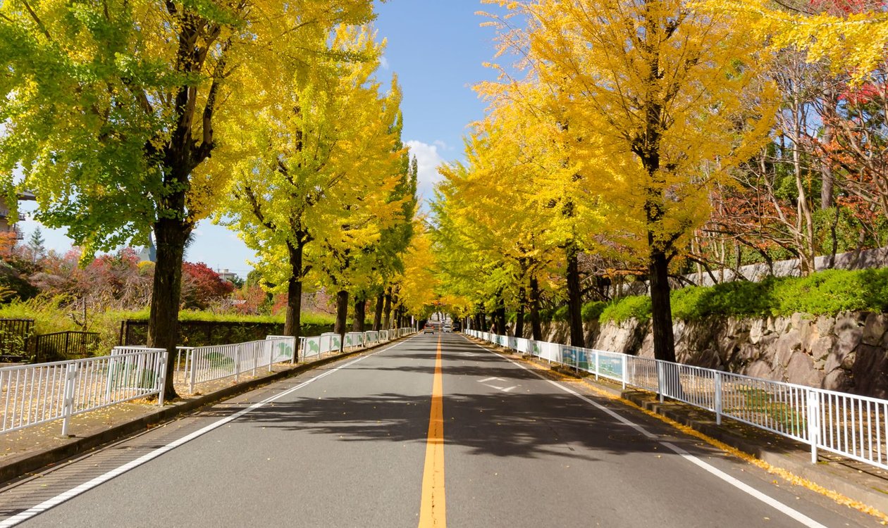 桑都の杜 —— 医療刑務所跡地に生まれる、もうひとつの桑都