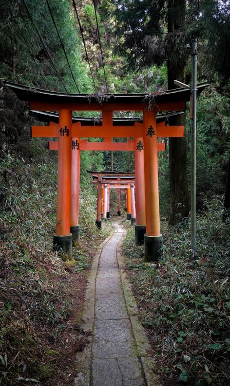 高尾山の修験道 —— 薬王院と天狗信仰の1300年