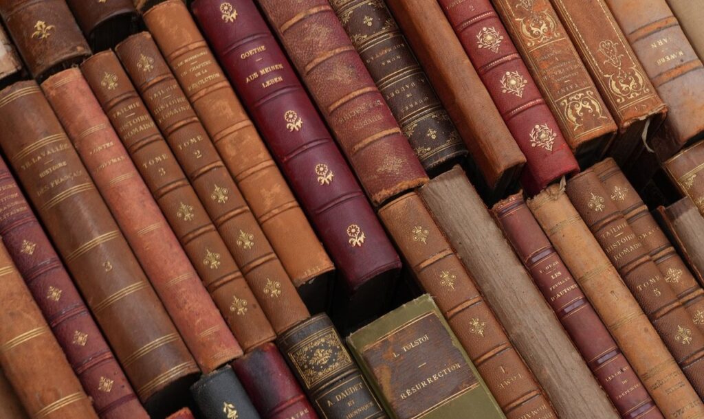 図書室の書架に整然と並ぶ革装丁の書物