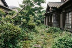 空き家の庭・草木が管理できない…放置のリスクと対処法